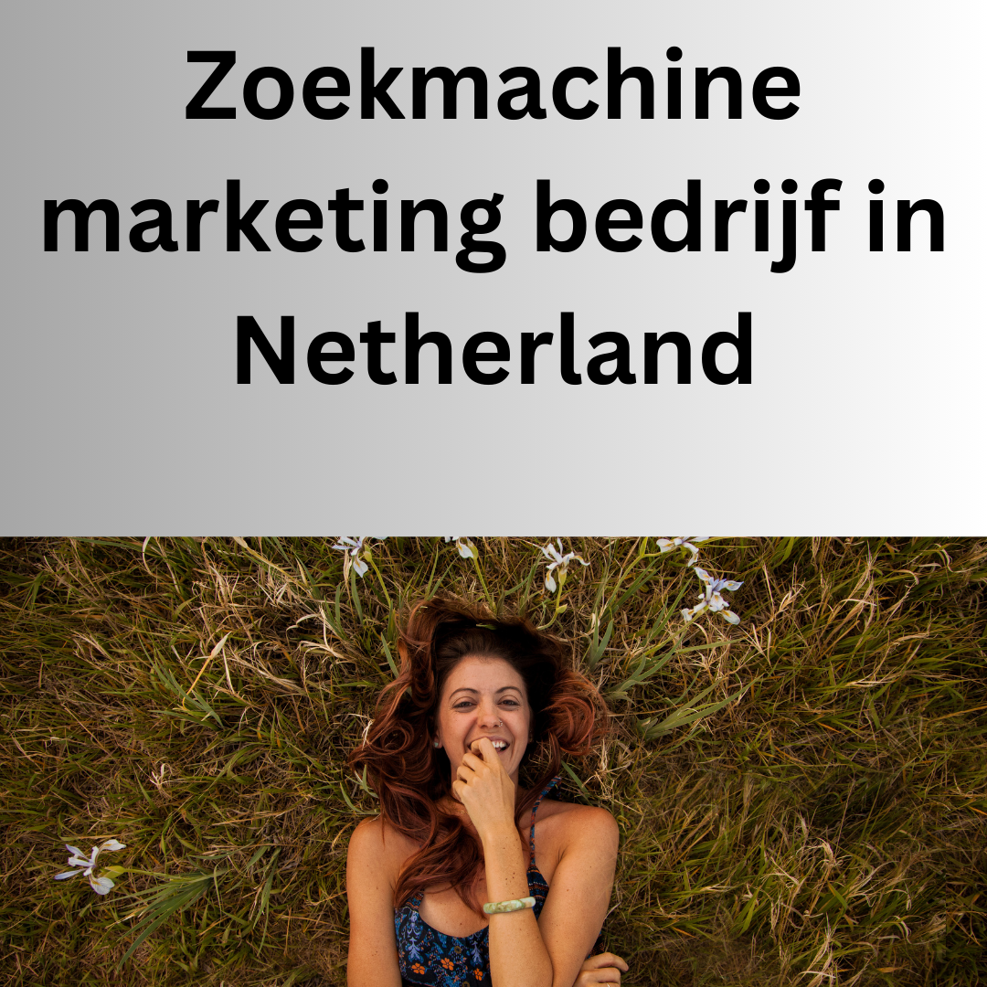 Zoekmachine marketing bedrijf  in Netherland