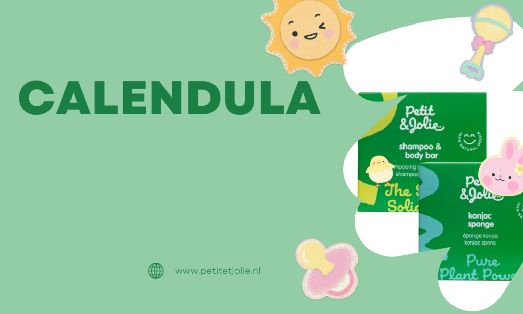 calendula
