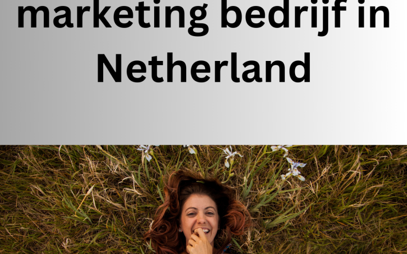 Zoekmachine marketing bedrijf  in Netherland